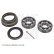 Cojinete de rueda ADD68216 Blue Print, Miniatura 2