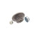 Cojinete de rueda VKBA 1440 SKF, Miniatura 2