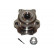 Cojinete de rueda WBK-6513 Kavo parts