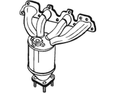 Catalyseur with Ecolabel 