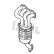 Catalyseur