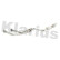 Catalyseur, Vignette 2