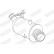 Catalyseur, Vignette 2