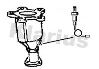 Catalyseur