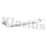 Catalyseur, Vignette 2