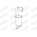 Catalyseur, Vignette 2