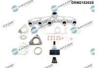 Collecteur, système d'échappement