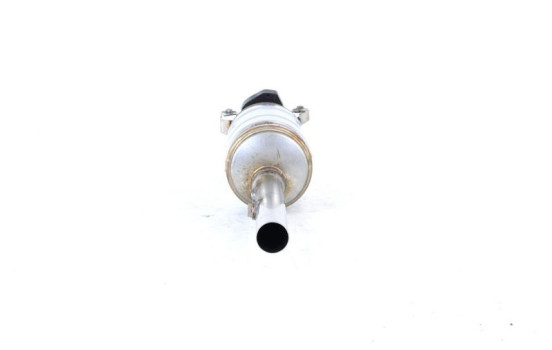 Filtre à particules / à suie, échappement EVO C 73017 Walker