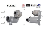 Filtre à particules diesel FL5262 AS