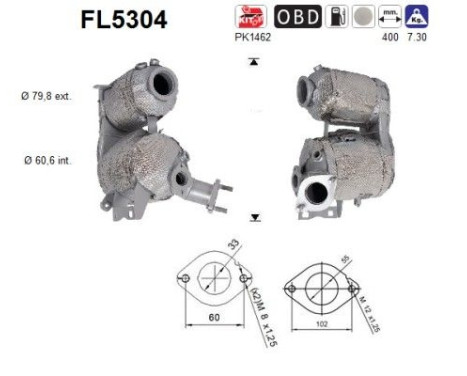 Filtre à particules diesel FL5304 AS