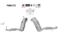 filtre à particules diesel FM5172 AS