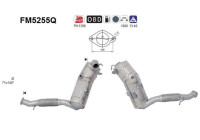 filtre à particules diesel FM5255Q AS