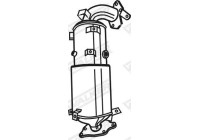 Filtre à particules / à suie, échappement EVO C 73272 Walker