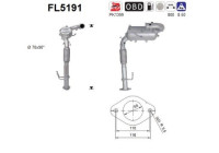 Filtre à particules diesel FL5191 AS