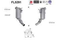 Filtre à particules diesel FL5291 AS