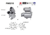 Filtre à particules diesel FM5215 AS