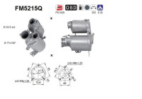 Filtre à particules, système d'échappement FM5215Q AS