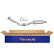 Silencieux avant - Kit Easy2Fit - Set avec pièces de montage