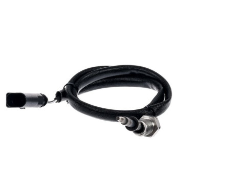 Capteur de température des gaz d'échappement