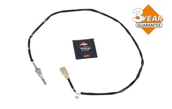 Capteur, température des gaz d'échappement