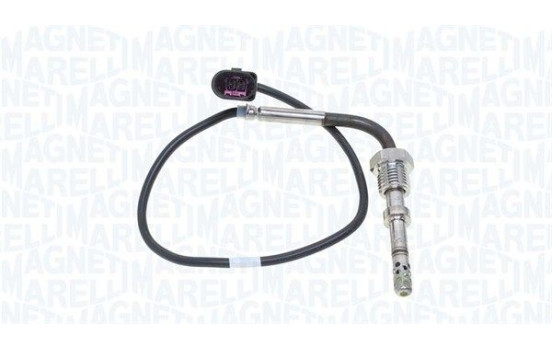 Capteur, température des gaz d'échappement
