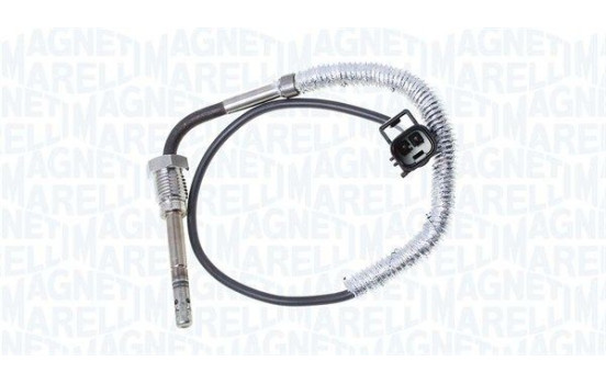 Capteur, température des gaz d'échappement