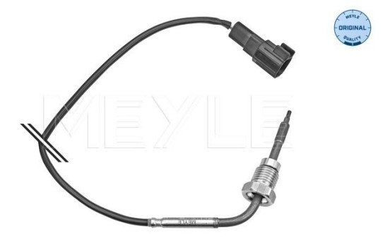 Capteur, température des gaz d'échappement