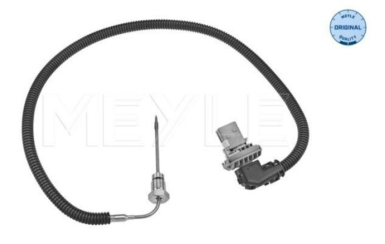 Capteur, température des gaz d'échappement