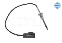 Capteur, température des gaz d'échappement