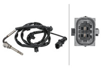 Capteur, température des gaz d'échappement