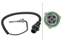 Capteur, température des gaz d'échappement