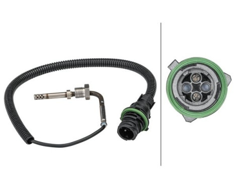 Capteur, température des gaz d'échappement