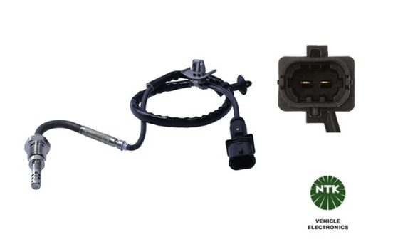 Capteur, température des gaz d'échappement