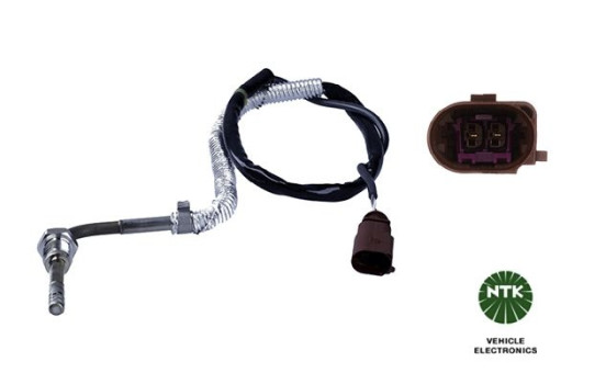 Capteur, température des gaz d'échappement