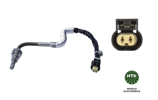 Capteur, température des gaz d'échappement