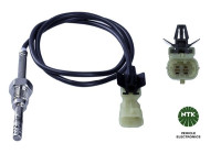 Capteur, température des gaz d'échappement