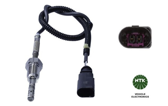 Capteur, température des gaz d'échappement