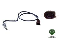Capteur, température des gaz d'échappement