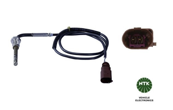 Capteur, température des gaz d'échappement