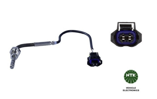 Capteur, température des gaz d'échappement