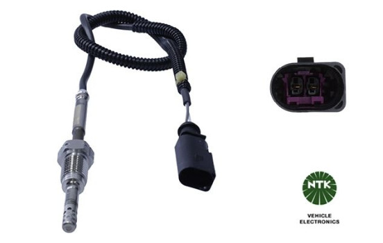 Capteur, température des gaz d'échappement