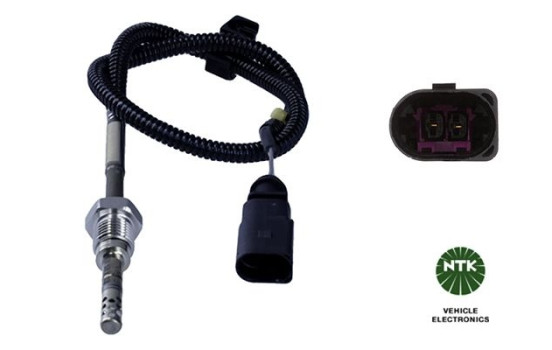 Capteur, température des gaz d'échappement