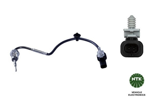 Capteur, température des gaz d'échappement