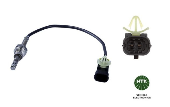 Capteur, température des gaz d'échappement