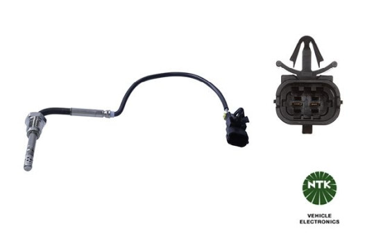 Capteur, température des gaz d'échappement