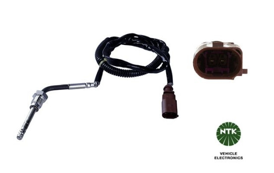 Capteur, température des gaz d'échappement