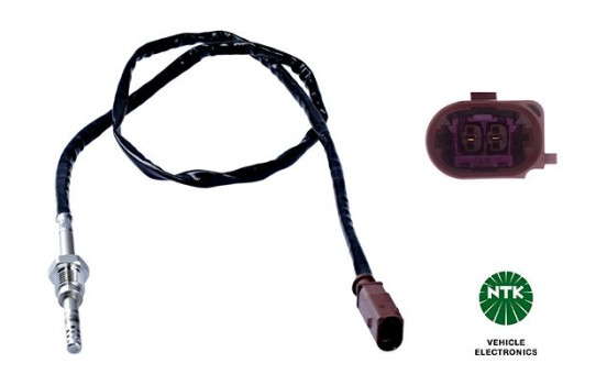 Capteur, température des gaz d'échappement