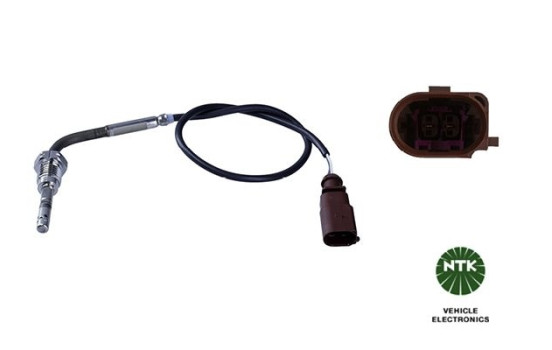 Capteur, température des gaz d'échappement