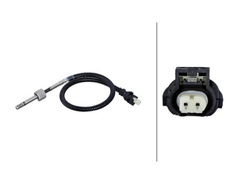 Capteur, température des gaz d'échappement