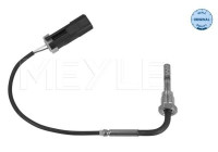 Capteur, température des gaz d'échappement
